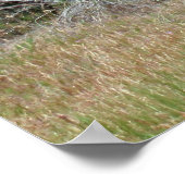 Boise Foothills Poster (Ecke)