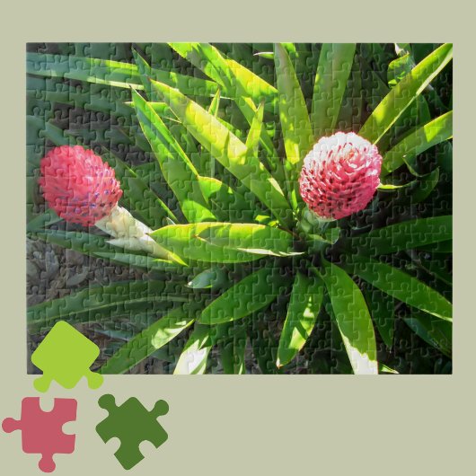 Bok Gardens Florida Pink Tropical Bromeliad Blume Puzzle