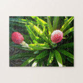 Bok Gardens Florida Pink Tropical Bromeliad Blume Puzzle (Horizontal)