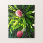 Bok Gardens Florida Pink Tropical Bromeliad Blume Puzzle (Vertikal)