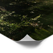 Bok Tower 2 Poster (Ecke)