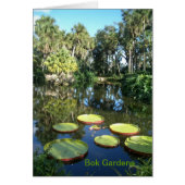Bok Tower Gardens Florida ~ Victoria Water Lilies (Vorne)