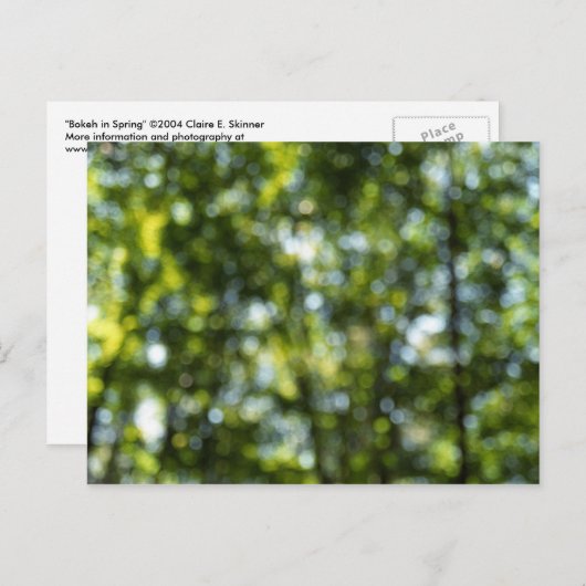Bokeh im Frühjahr Postkarte (Vorne/Hinten)