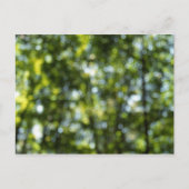 Bokeh im Frühjahr Postkarte (Vorderseite)