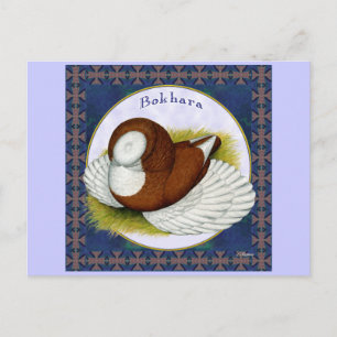 Bokhara-Taube in der Runde Postkarte