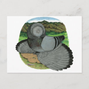 Bokhara Trumpeter: Blau Postkarte