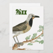 Bokmakierie | Bird Animation Jigsaw Oma Einladung (Vorne/Hinten)