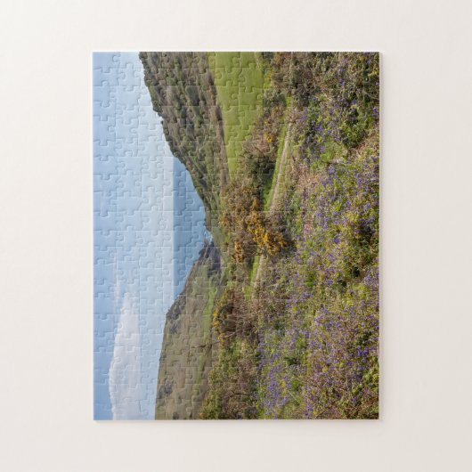 Bolberry Down, Devon Puzzle (Vertikal)