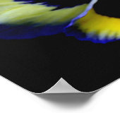 Bold Blue Pansy Blume Poster (Ecke)