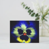 Bold Blue Pansy Flower Photography Postkarte (Stehend Vorderseite)