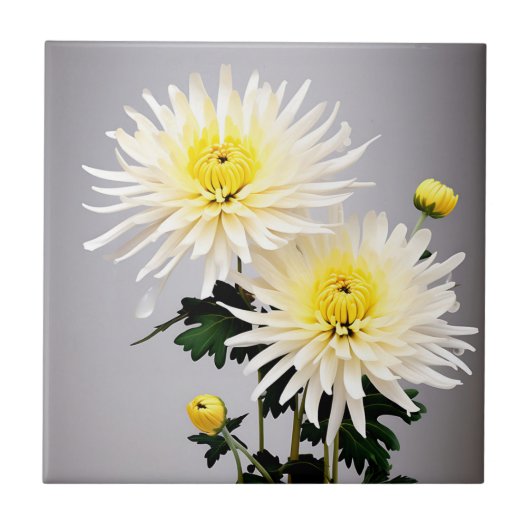 Bold Chrysanthemum Abstrakt Fliese (Vorderseite)