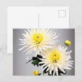 Bold Chrysanthemum Abstrakt Postkarte (Vorne/Hinten)