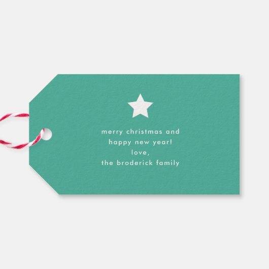 Bold Colorful Merry Christmas Geschenkanhänger (Rückseite Horizontal)