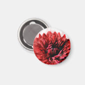 Bold Dahlia Watercolor Crimson Magnet (Vorderseite/Rückseite)