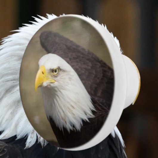 Bold Eagle Ceramic Drawer Knob – Strength Keramikknauf