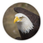 Bold Eagle Ceramic Drawer Knob – Strength Keramikknauf (Vorderseite)