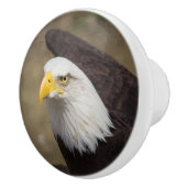 Bold Eagle Ceramic Drawer Knob – Strength Keramikknauf (Rechts)