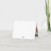 BOLD FARBIGE FLORALISCHE FESTPLATTE (Rückseite)