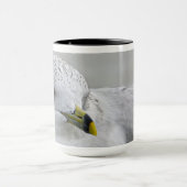 Bold Iconic Ring Billed Gull Georgia Fotografie Tasse (Zentrum)