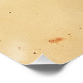 Bold Motivational Quote - Latin Poster Art (Ecke)