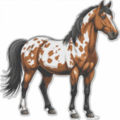 Bold Paint Horse Standing In Grassy Field Aufkleber (Vorderseite)