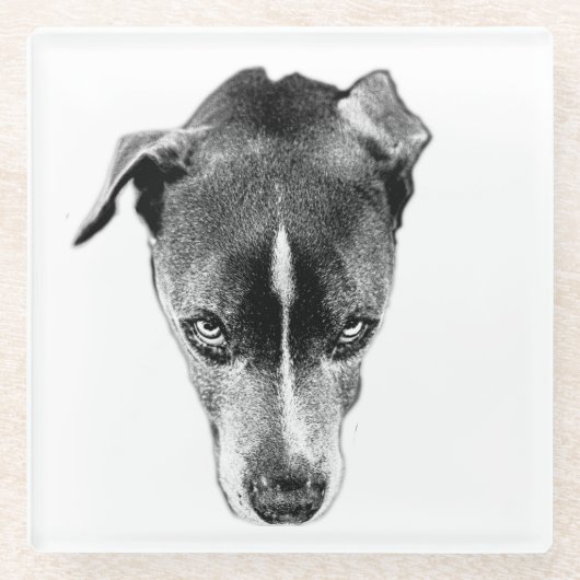 Bold Pitbull Mix Blick Moderne Kunst Untersetzer (Vorderseite)