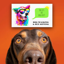 Bold Rainbow Dog Walker Pet Sitter
