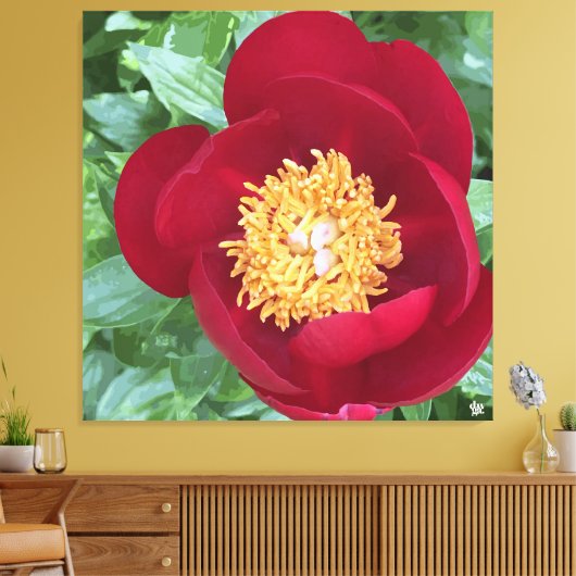 Bold Red Peony Leinwanddruck (Insitu (Wohnzimmer))
