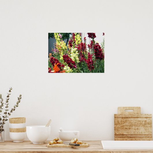 Bold Rocket Snapdragons Poster (Küche)