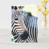Bold Zebra Grußkarte Karte (Gelbe Blume)