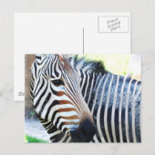 Bold Zebra Postcard Postkarte (Vorne/Hinten)