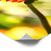 Bolder Butterfly Poster (Ecke)