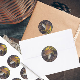 Boletscher mit gelben Blätter Runder Aufkleber