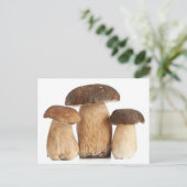 Boletus Edulis Postkarte (Stehend Vorderseite)