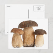 Boletus Edulis Postkarte (Vorne/Hinten)