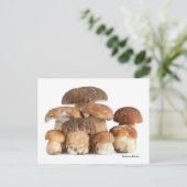 Boletus Edulis Postkarte (Stehend Vorderseite)