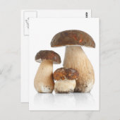 Boletus Edulis Postkarte (Vorne/Hinten)