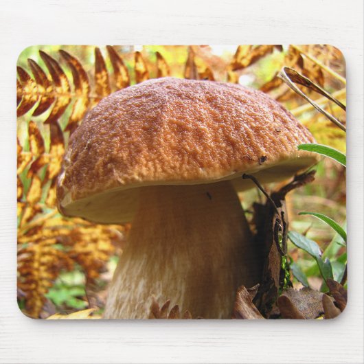 BOLETUS ESSBAR MOUSEPAD (Vorne)