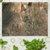 boletus geschirrtuch (Gefaltet)