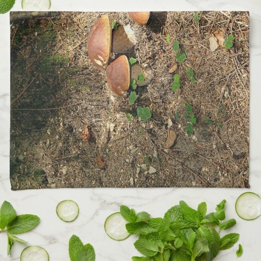 boletus geschirrtuch (Gefaltet)