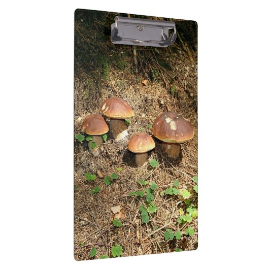 boletus klemmbrett (Rechts)