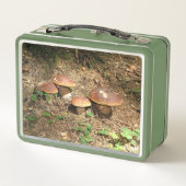 boletus metall brotdose (Rückseite)