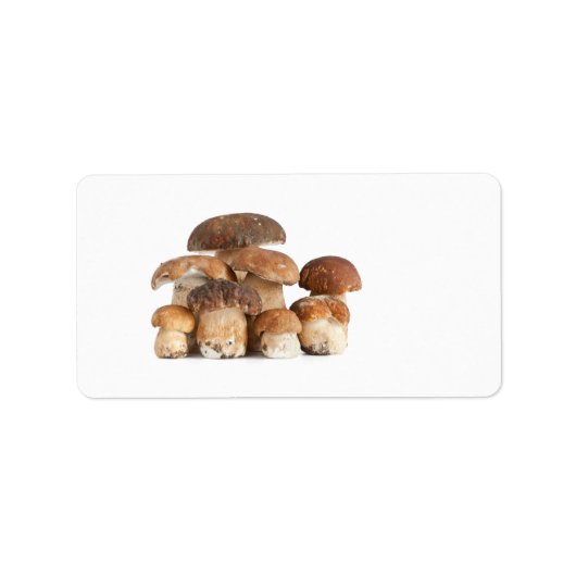 Boletus mushroom adressaufkleber (Vorne)