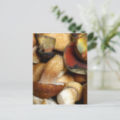 Boletus Postkarte (Stehend Vorderseite)