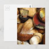 Boletus Postkarte (Vorne/Hinten)