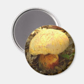 Boletus torosus Mushroom Magnet (Vorderseite/Rückseite)