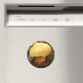 Boletus torosus Mushroom Magnet (In Situ (Geschirrspüler))