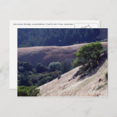 Bolinas Ridge, Kalifornien Postkarte (Vorne/Hinten)