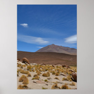 Bolivian Altiplano Wüste Landschaft Poster