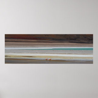 Bolivianische Lagune mit Flamingos - Foto Poster